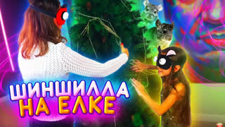 Вики Шоу Лучшее Видео - ШИНШИЛЛА На Елке ЧЕЛЛЕНДЖ Наряди Елку ВСЛЕПУЮ  / Вики Шоу