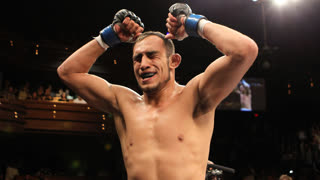 Все финиши Тони Фергюсона на TUF 13