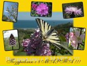 Фотография Савранской Оли