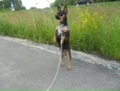 Фотография Мальцевой Татьяны