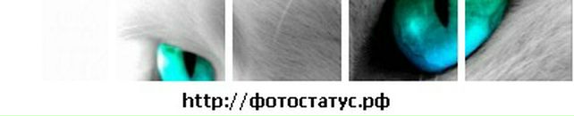 Валєра Фурсін фотография #50 (источник - https://vk.com/id119641954)