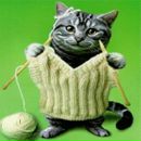 Фотография Задерновской Марии