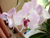 Фотография Голубевой Ирины