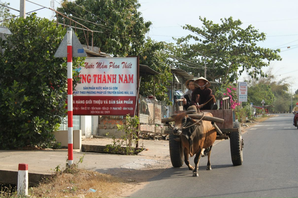 Rus Lan фотография #48