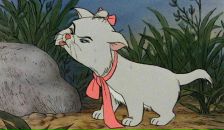 Фотография Волковой Юлии