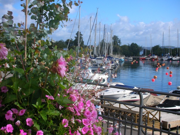 Cath Rbl фото №41