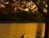 Аня Хасанова фотография #28 (источник - https://vk.com/id231013)