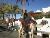 Фотография Павлова Николая