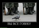 Павло Євтушенко фотография #13 (источник - https://vk.com/id140373541)