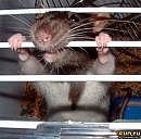 Віталік Нема фотография #46 (источник - https://vk.com/id74090873)