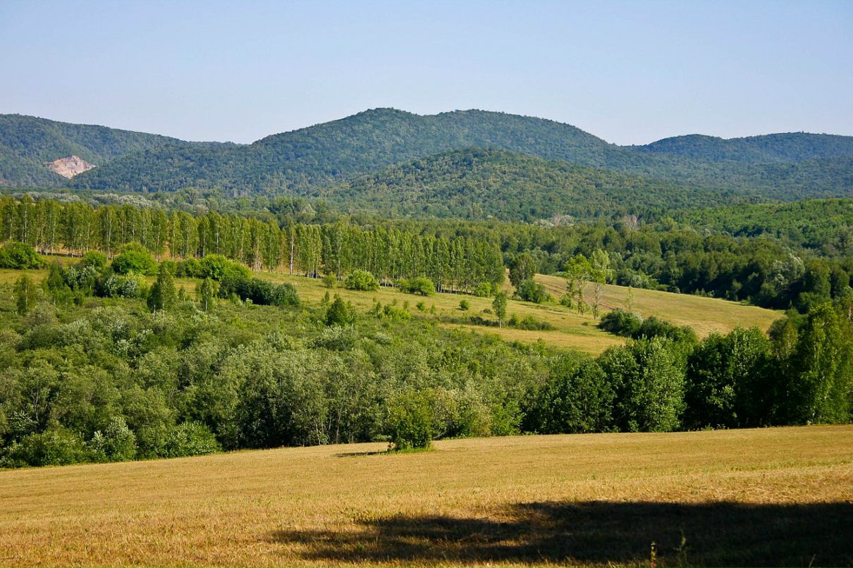 Иван Просоедов фотография #39