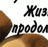 Віта Фіцак фотография #14 (источник - https://vk.com/id147692229)