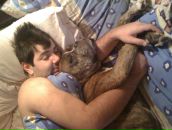 Фотография Редькина Александра