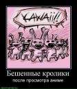 Андрій Андрусик фотография #17 (источник - https://vk.com/id101834348)