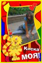 Наташа Вахляева фотография #35 (источник - https://vk.com/id82770131)
