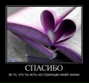 Макс Романішин фотография #33 (источник - https://vk.com/id22335103)