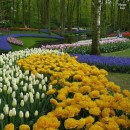 Фотография Сибгатуллиной Адели