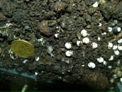 Олеся Дорій фотография #13 (источник - https://vk.com/id59798210)