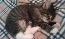 Антон Ковригин фотография #7 (источник - https://vk.com/id2805795)