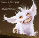 Фотография Бочарова Виталия