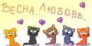 Тіна Кароль фотография #34 (источник - https://vk.com/id168345197)