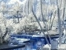 Віталік Ірисов фотография #16 (источник - https://vk.com/id96909695)