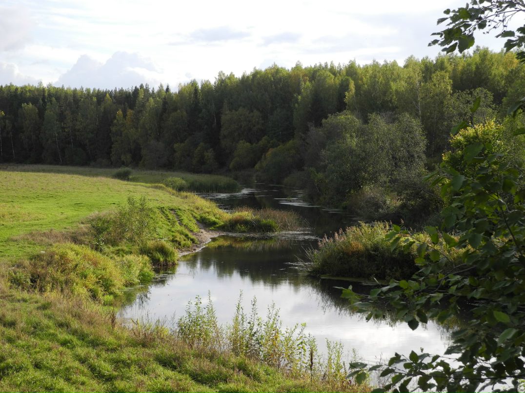 Илья Маслов фотография #34