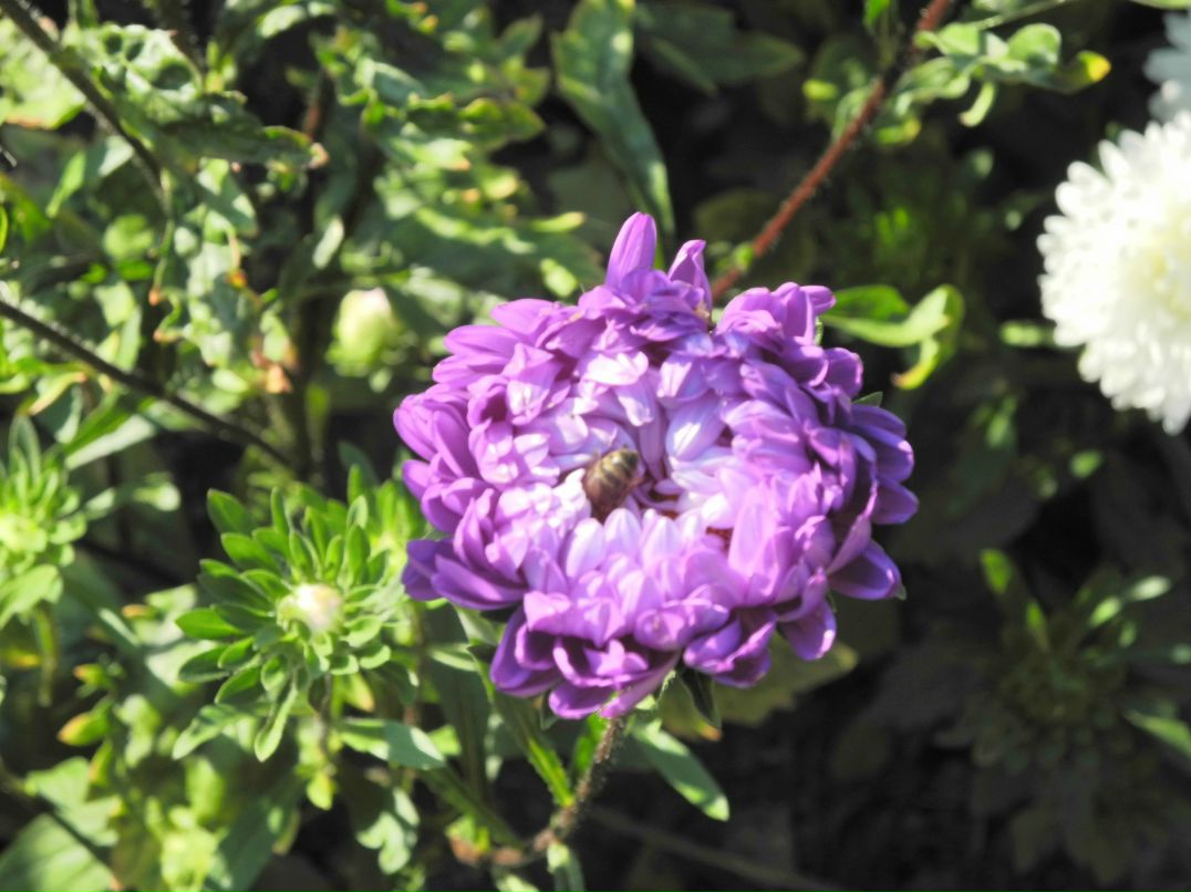 Илья Маслов фотография #38