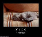 Андрій Данилів фотография #39 (источник - https://vk.com/id14294002)