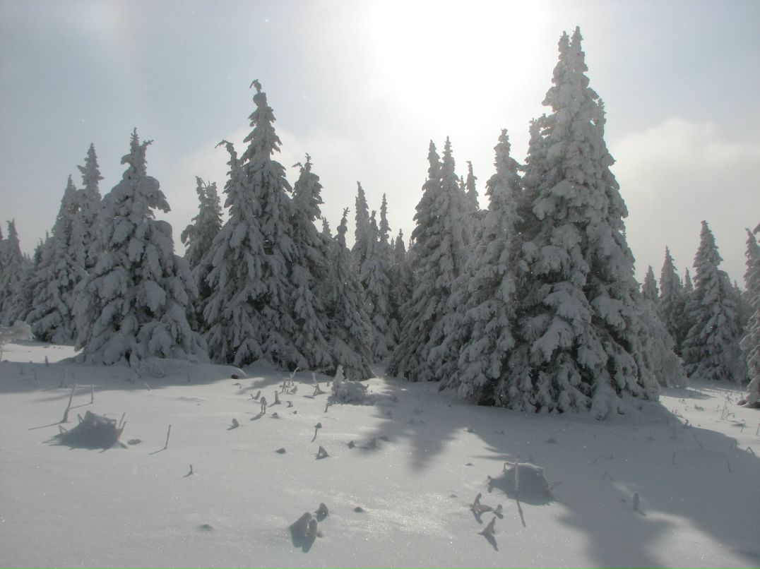 Антон Городилов фотография #41