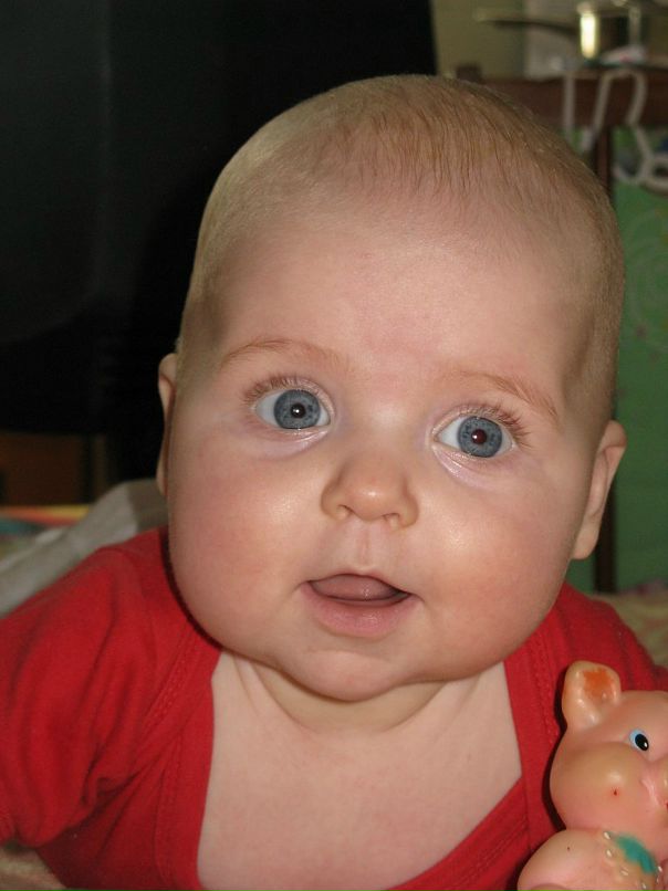 Владимир Левшевич фотография #14