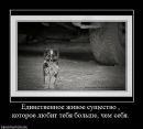 Андрій Присяжний фотография #45 (источник - https://vk.com/id13550387)