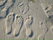 Фотография Черной Евгении