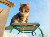 Фотография Климкиной Светланы