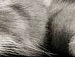 Софійка Мойко фотография #45 (источник - https://vk.com/id118406982)
