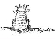 Фотография Аксеновой Марии