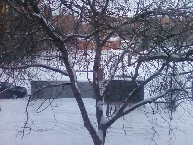 Настя Бугара фотография #3