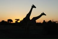 Stan Kuralov фотография #27 (источник - https://vk.com/id1059146)