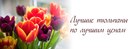 Κсения Βласова фотография #1