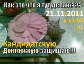 Фотография Коркуновой Светланы