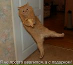 Фотография Панькиной Марии