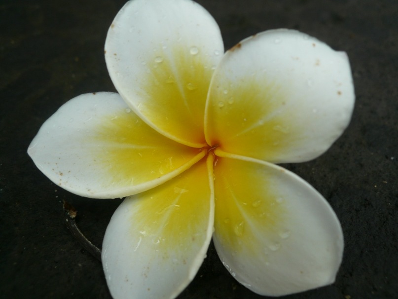 Сергей Марьин фотография #32