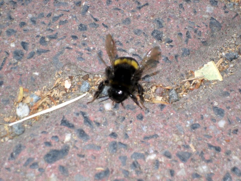 Дмитрий Попов фотография #47