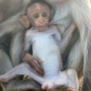 Фотография Александровского Семена