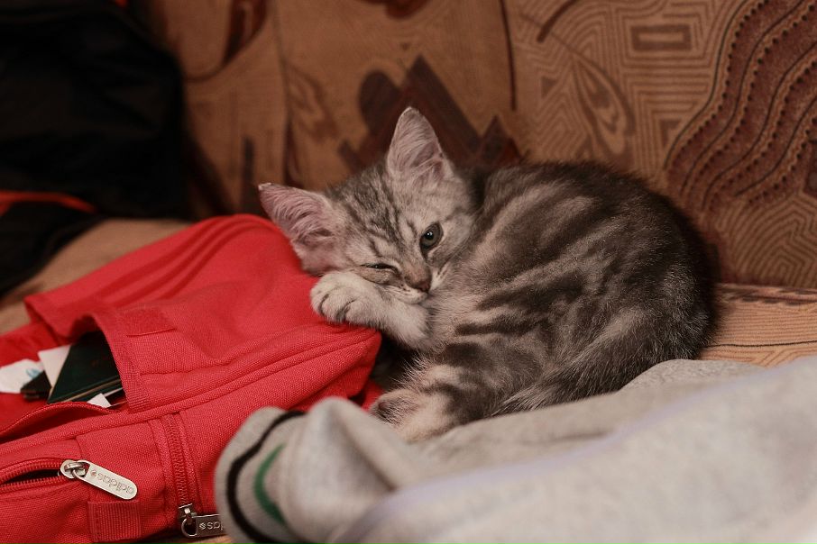 Антоха Злобин фото №35