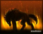 Виталий Зеленов фотография #36 (источник - https://vk.com/id91789633)