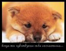 Милый ^_^ фотография #18 (источник - https://vk.com/id156709447)