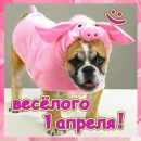 Вікуська Денисюк фотография #32 (источник - https://vk.com/id170145756)