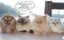 Юрій Бочковський фотография #47 (источник - https://vk.com/id8786963)