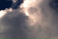 Фотография Климовой Маргариты